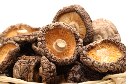 JIANG HONGYAN/Shutterstock.com